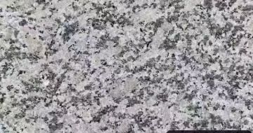贵港 芙蓉白（芝麻白大花）火烧面
