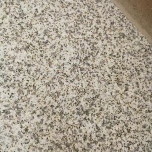 贵港 黄金麻中黄光面