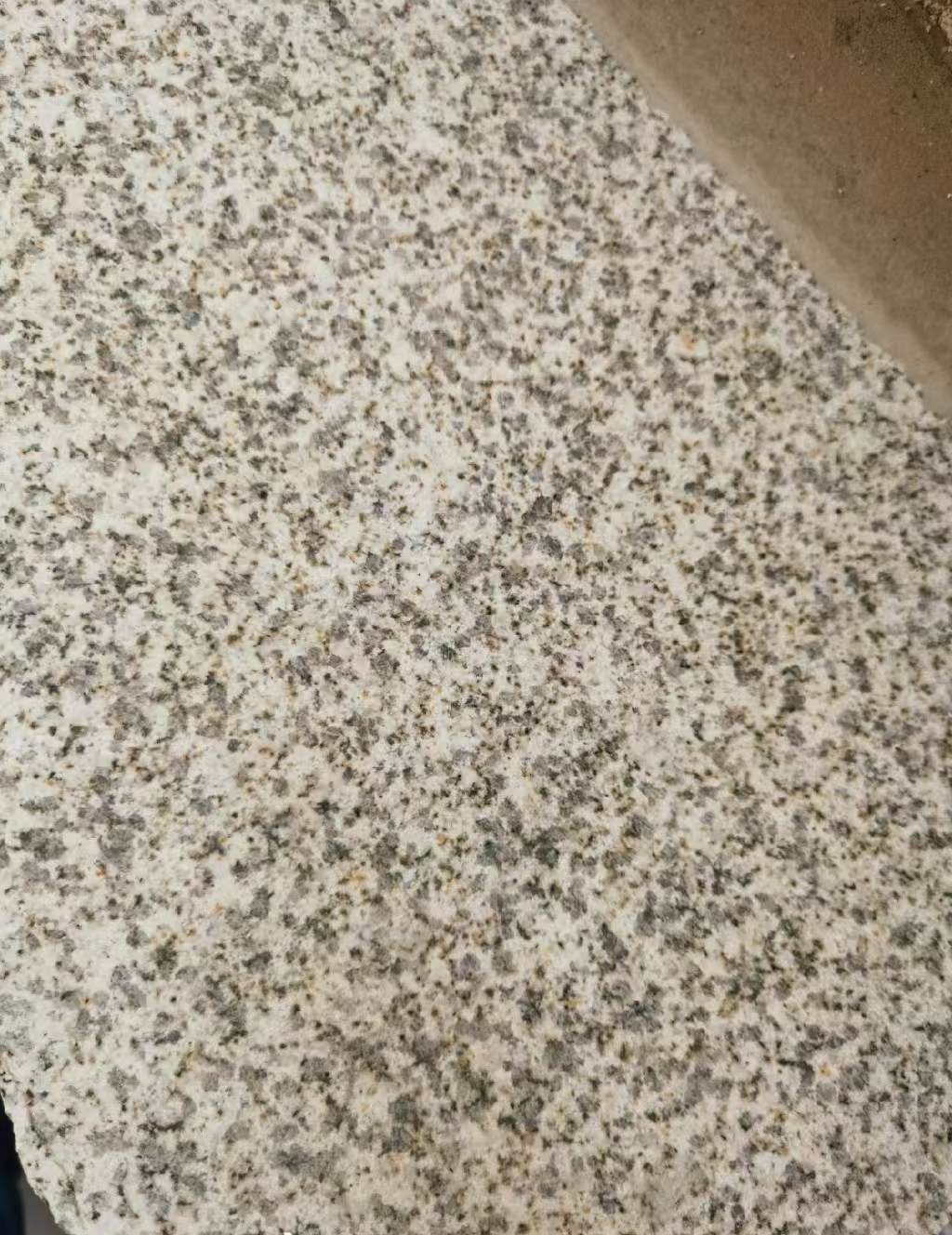 贵港 黄金麻中黄光面