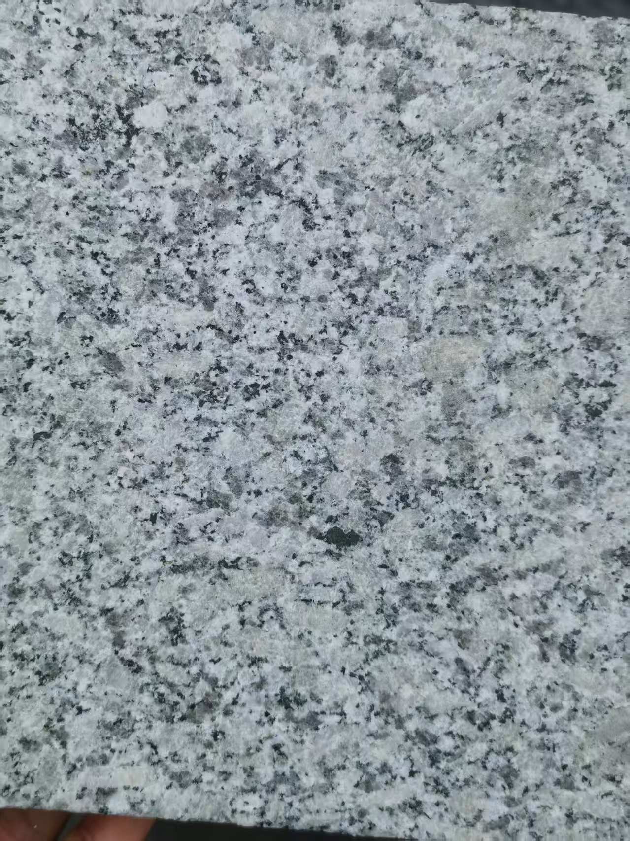 贵港 芙蓉白火烧面